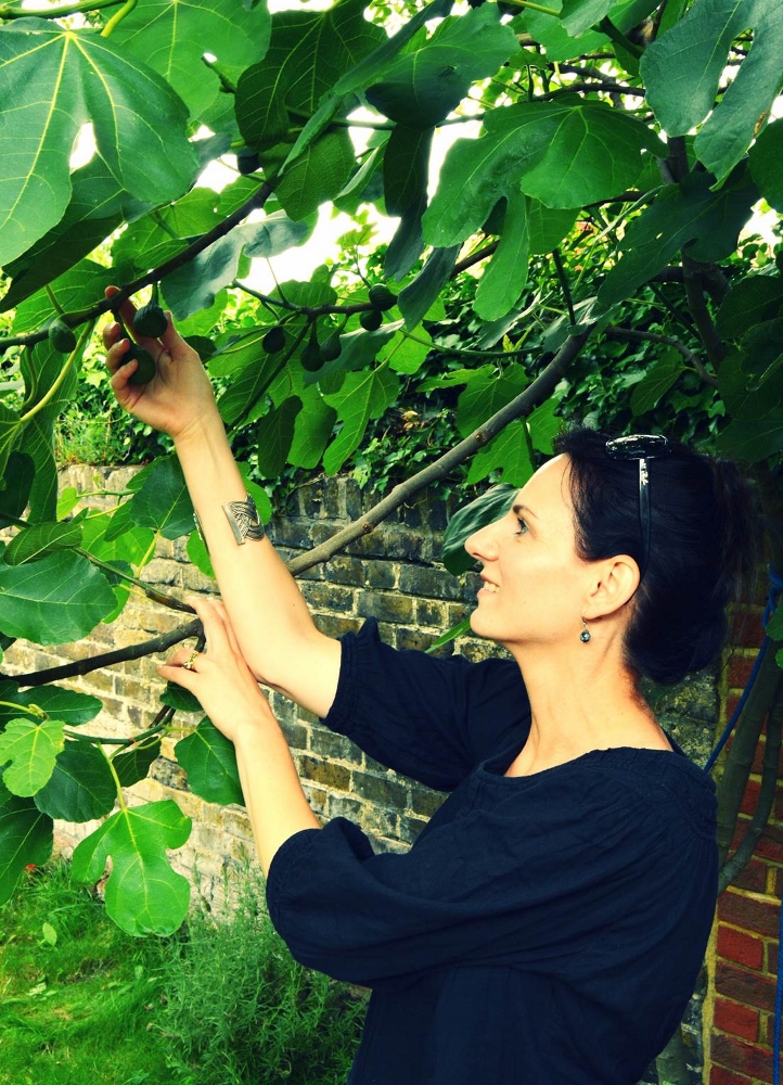 why the fig tree is a perfect gift for the 5th wedding anniversary